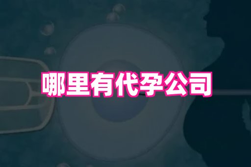 长春助孕网 3
